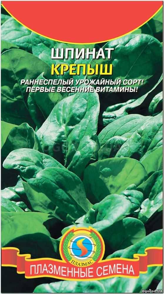 Кликните для увеличения изображения Семена шпината «Крепыш», ТМ «ПЛАЗМЕННЫЕ СЕМЕНА» - 2 грамма