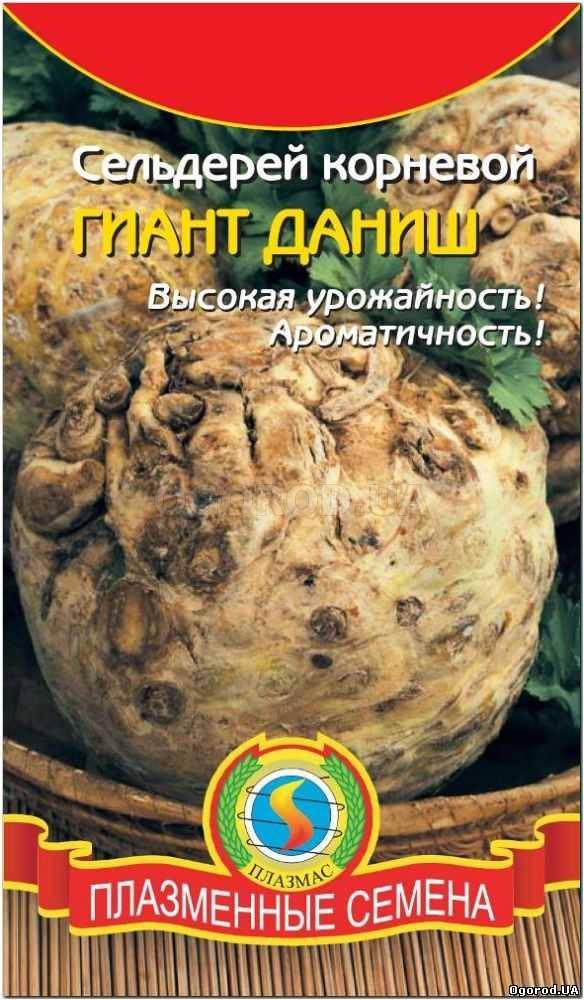 Кликните для увеличения изображения Семена сельдерея «Гиант Даниш», ТМ «ПЛАЗМЕННЫЕ СЕМЕНА» - 0,45 грамм
