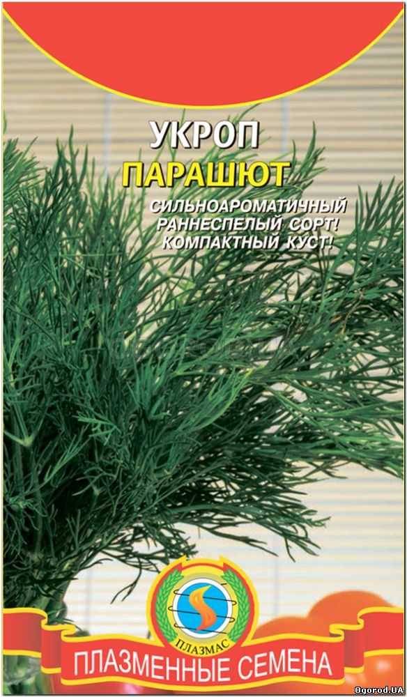 Кликните для увеличения изображения Семена укропа «Парашют», ТМ «ПЛАЗМЕННЫЕ СЕМЕНА» - 2 грамма