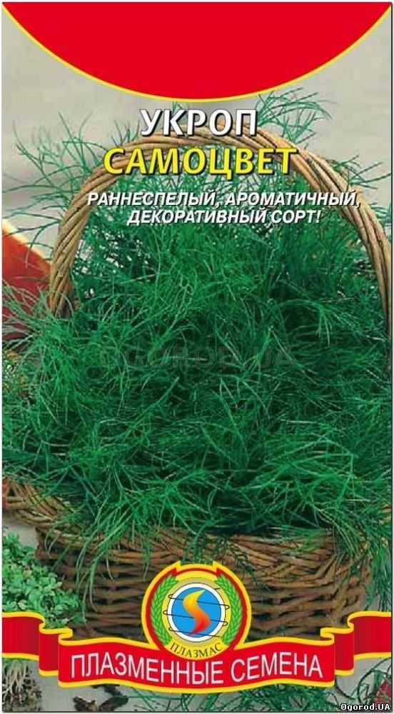 Кликните для увеличения изображения Семена укропа «Самоцвет», ТМ «ПЛАЗМЕННЫЕ СЕМЕНА» - 1,5 грамм