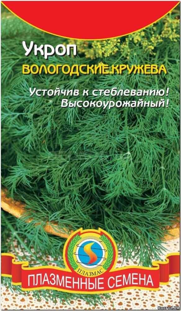 Кликните для увеличения изображения Семена укропа «Вологодские кружева», ТМ «ПЛАЗМЕННЫЕ СЕМЕНА» - 2 грамма