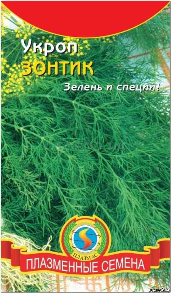 Кликните для увеличения изображения Семена укропа «Зонтик», ТМ «ПЛАЗМЕННЫЕ СЕМЕНА» - 2 грамма