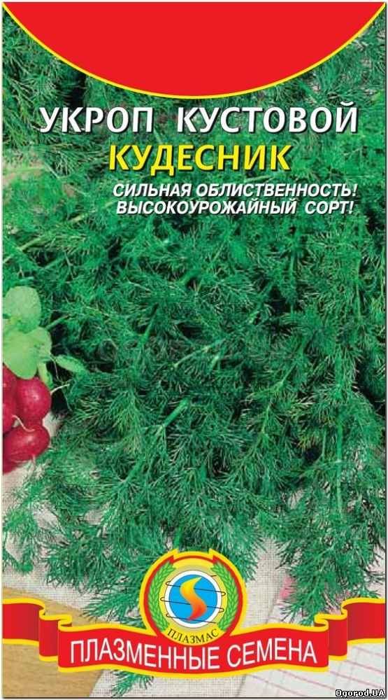 Кликните для увеличения изображения Семена укропа «Кудесник», ТМ «ПЛАЗМЕННЫЕ СЕМЕНА» - 0,5 грамма