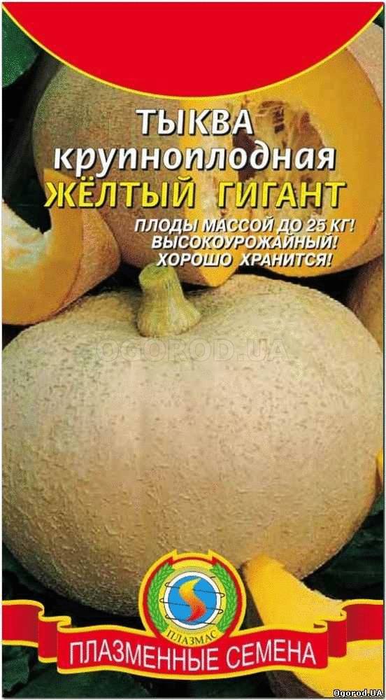 Кликните для увеличения изображения Семена тыквы «Желтый гигант», ТМ «ПЛАЗМЕННЫЕ СЕМЕНА» - 1 грамм