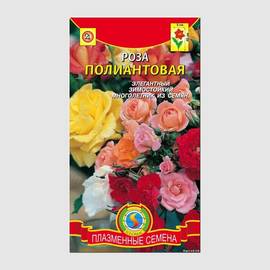 Семена розы полиантовой / Rosa polyantha, ТМ «ПЛАЗМЕННЫЕ СЕМЕНА» - 10 семян