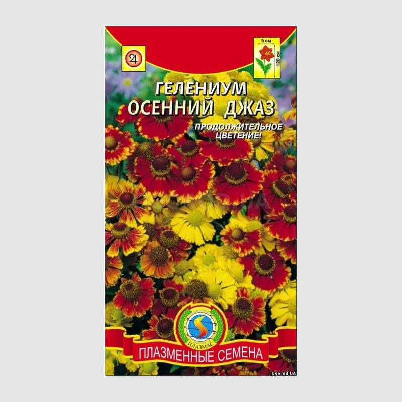 Кликните для увеличения изображения Семена гелениума «Осенний джаз», ТМ «ПЛАЗМЕННЫЕ СЕМЕНА» - 0,01 грамм