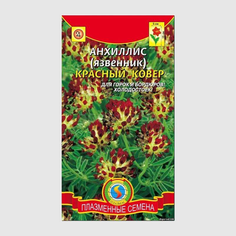 Кликните для увеличения изображения Семена анхилиса (язвенника) «Красный ковер», ТМ «ПЛАЗМЕННЫЕ СЕМЕНА» - 0,02 грамма