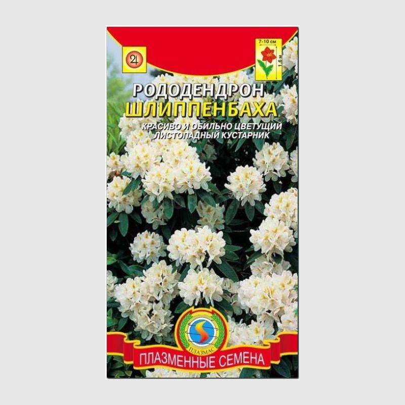 Кликните для увеличения изображения Семена рододендрона шлиппенбаха / Rhododendron shlippenbachii, ТМ «ПЛАЗМЕННЫЕ СЕМЕНА» - 0,01 грамм
