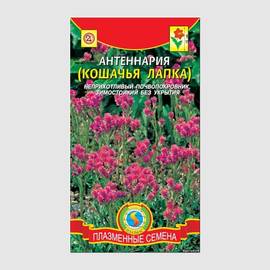 Семена антеннарии (Кошачья лапка) / Antennaria dioica, ТМ «ПЛАЗМЕННЫЕ СЕМЕНА» - 80 семян
