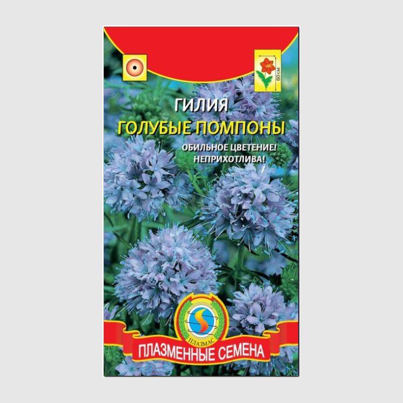 Кликните для увеличения изображения Семена гилии «Голубые помпоны», ТМ «ПЛАЗМЕННЫЕ СЕМЕНА» - 0,1 грамм