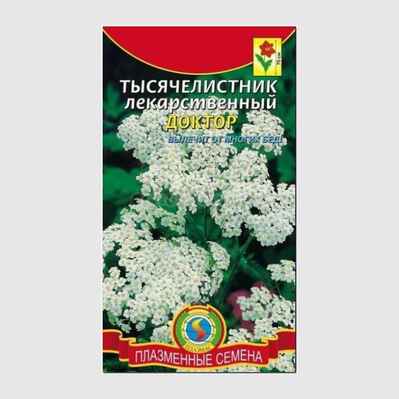 Кликните для увеличения изображения Семена тысячелистника лекарственного «Доктор», ТМ «ПЛАЗМЕННЫЕ СЕМЕНА» - 0,05 грамм