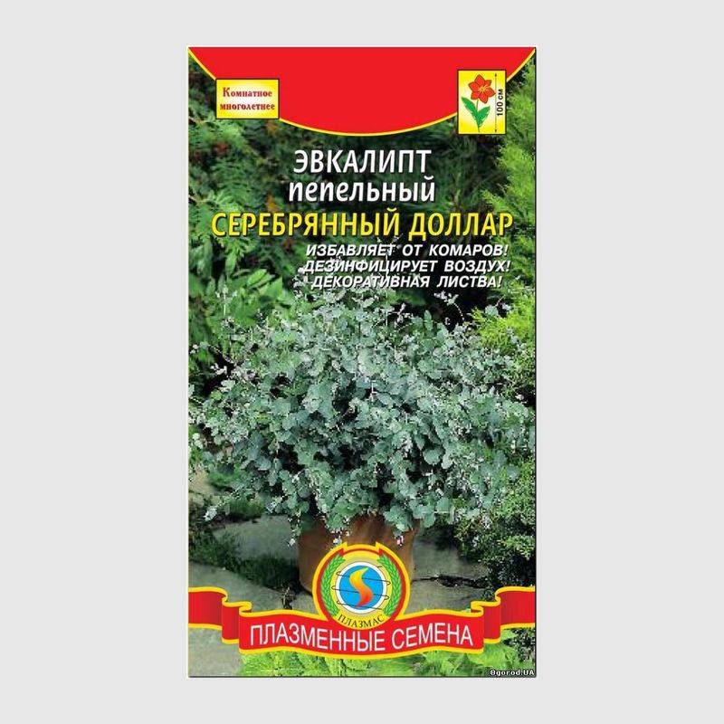 Кликните для увеличения изображения Семена эвкалипта пепельного «Серебряный Доллар», ТМ «ПЛАЗМЕННЫЕ СЕМЕНА» - 5 семян