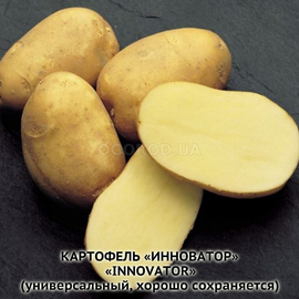 Клубни картофеля «Инноватор», ТМ «ЧерниговЭлитКартофель» - 0,5 кг
