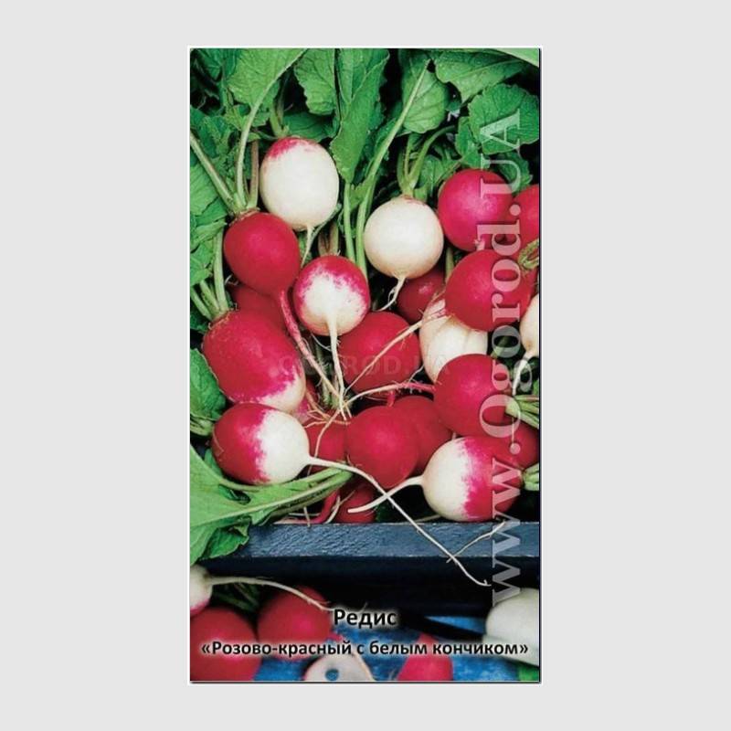 Кликните для увеличения изображения Семена редиса «Розово-красный с белым кончиком», ТМ «ПЛАЗМЕННЫЕ СЕМЕНА», б/п - 2 грамма