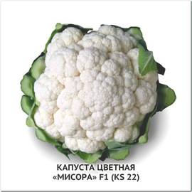 Семена капусты цветной «Мисора» F1 (KS 22), ТМ Kitano - 10 семян