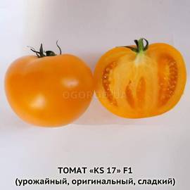 Семена томата «KS 17» F1, ТМ Kitano - 5 семян