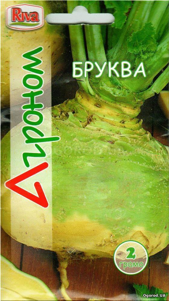 Кликните для увеличения изображения Семена брюкви, ТМ «Агроном» - 2 грамма