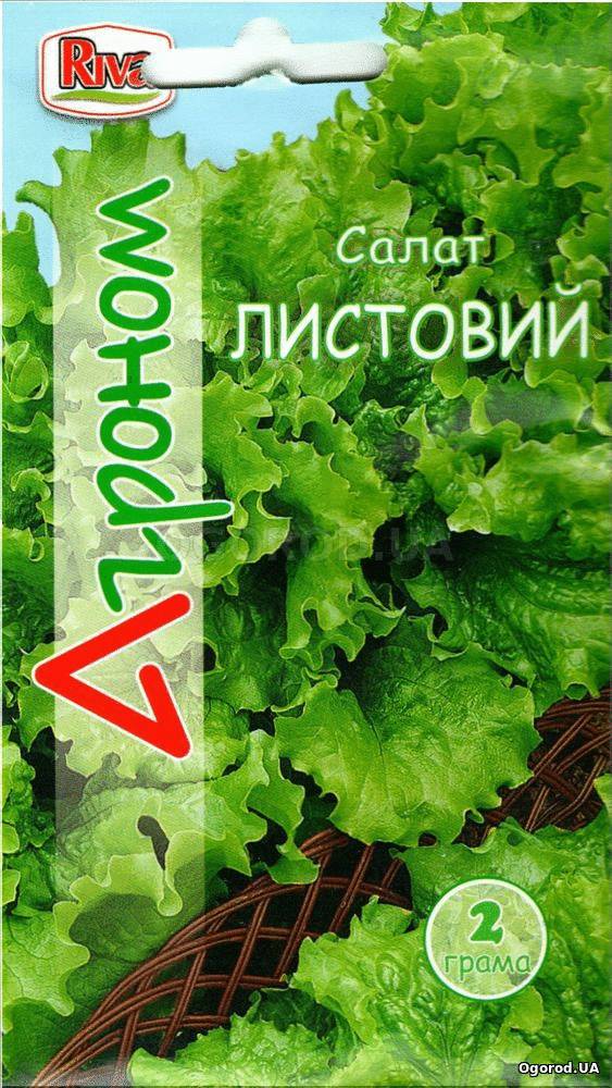Кликните для увеличения изображения Семена салата листового, ТМ «Агроном» - 2 грамма