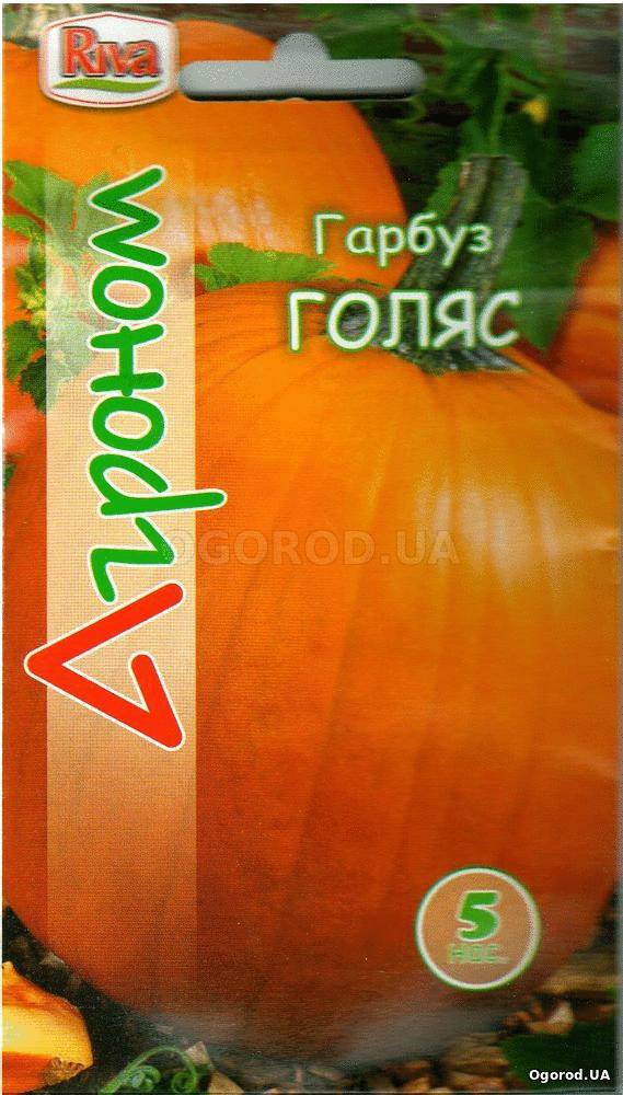 Кликните для увеличения изображения Семена тыквы «Голяс», ТМ «Агроном» - 5 семян