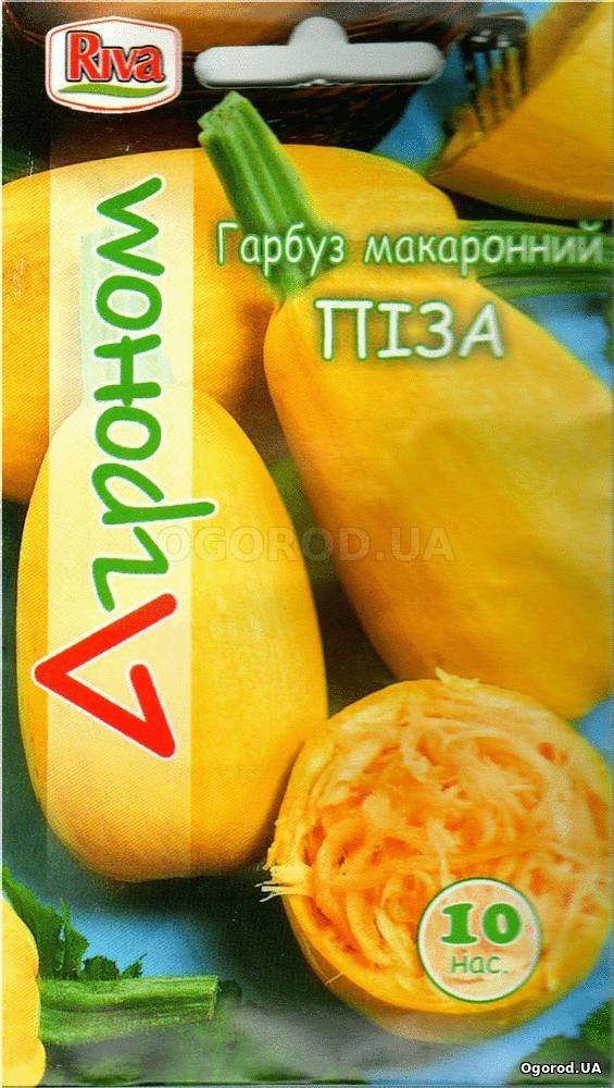 Кликните для увеличения изображения Семена тыквы спагетти «Пиза», ТМ «Агроном» - 10 семян