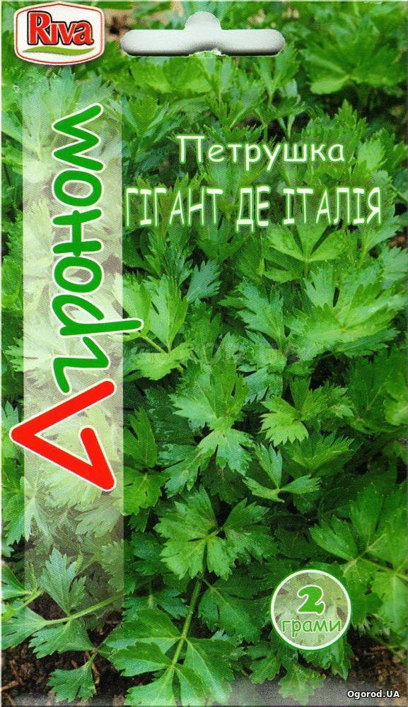 Кликните для увеличения изображения Семена петрушки «Гигант де Италия», ТМ «Агроном» - 2 грамма