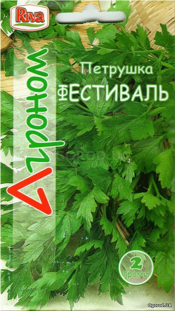 Кликните для увеличения изображения Семена петрушки «Фестиваль», ТМ «Агроном» - 2 грамма