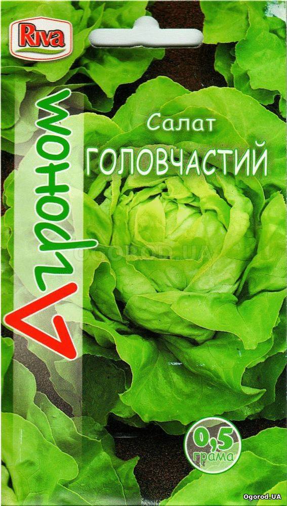 Кликните для увеличения изображения Семена салата «Головчастый», ТМ «Агроном» - 0,5 грамм