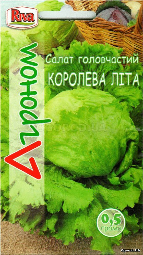 Кликните для увеличения изображения Семена салата «Королева лета», ТМ «Агроном» - 0,5 грамм