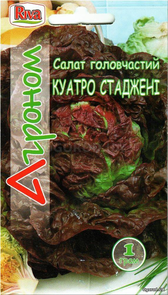 Кликните для увеличения изображения Семена салата «Куатро Стаджени», ТМ «Агроном» - 1 грамм
