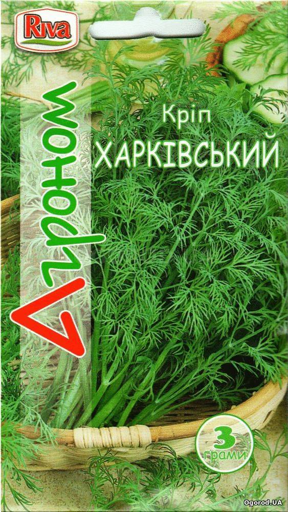 Кликните для увеличения изображения Семена укропа «Харьковский», ТМ «Агроном» - 3 грамма