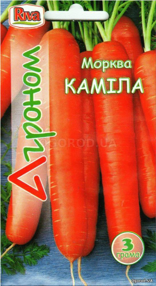 Кликните для увеличения изображения Семена моркови «Камила», ТМ «Агроном» - 3 грамма