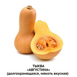 Семена тыквы «Августина», ТМ OGOROD - 150 грамм