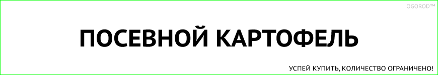 Купить посевной картофель